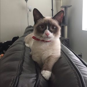 Meet your Posher, Summer